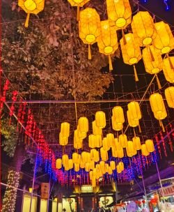 年味里的畫(huà)卷2